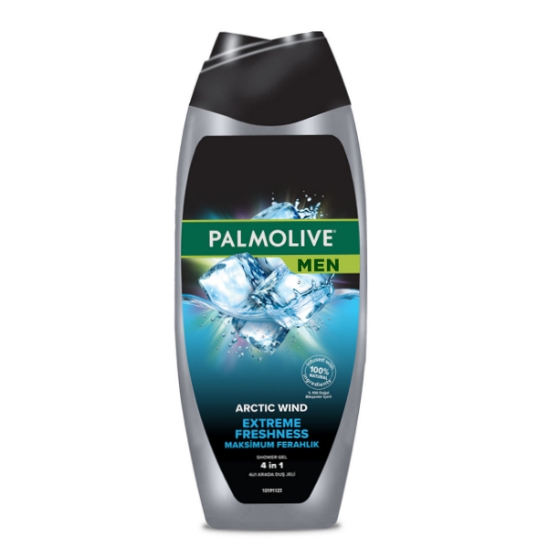 Palmolive-Shampoo-for-Men-Arctic-Wind.jpg